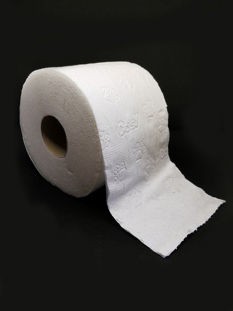 The Best Toilet Paper for Your Plumbing System - Open Shore
